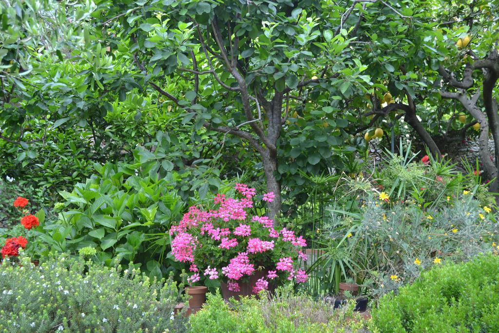 Tovo San Giacomo Casa Nobile Bed & Breakfast エクステリア 写真